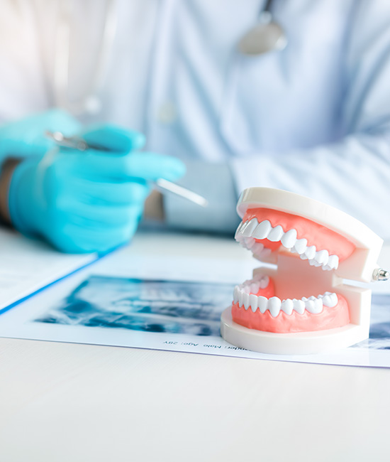 A medical professional wearing blue gloves and a white mask, sitting at a desk with a photo of a patient on the table, holding a tooth model in front of them.