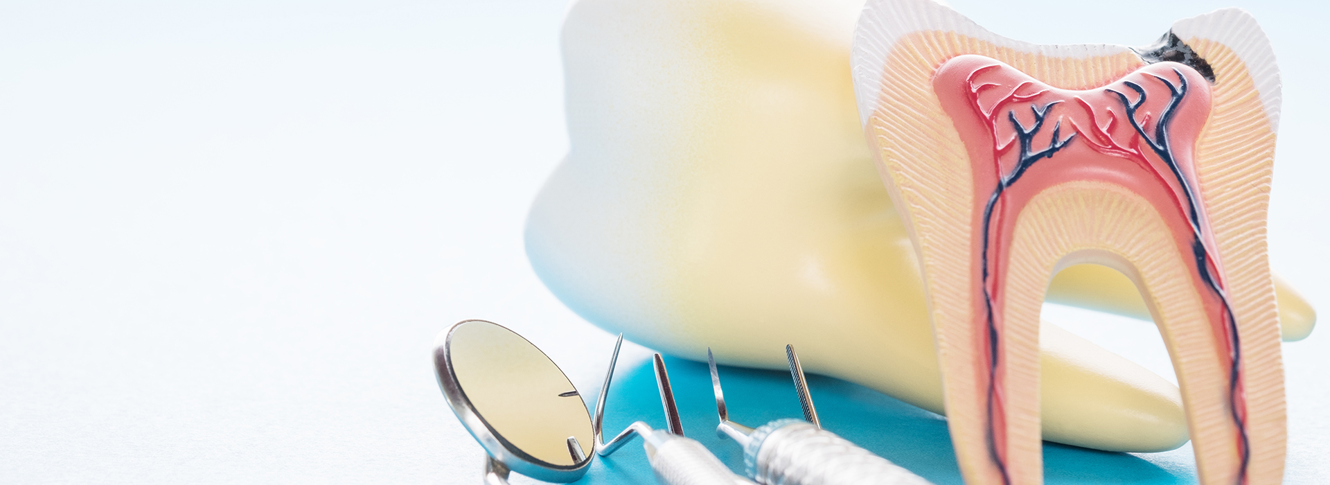 The image shows a close-up of a dental model with a toothbrush and toothpaste, emphasizing oral hygiene.